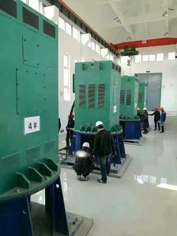 桐城某污水处理厂使用我厂的立式高压电机安装现场